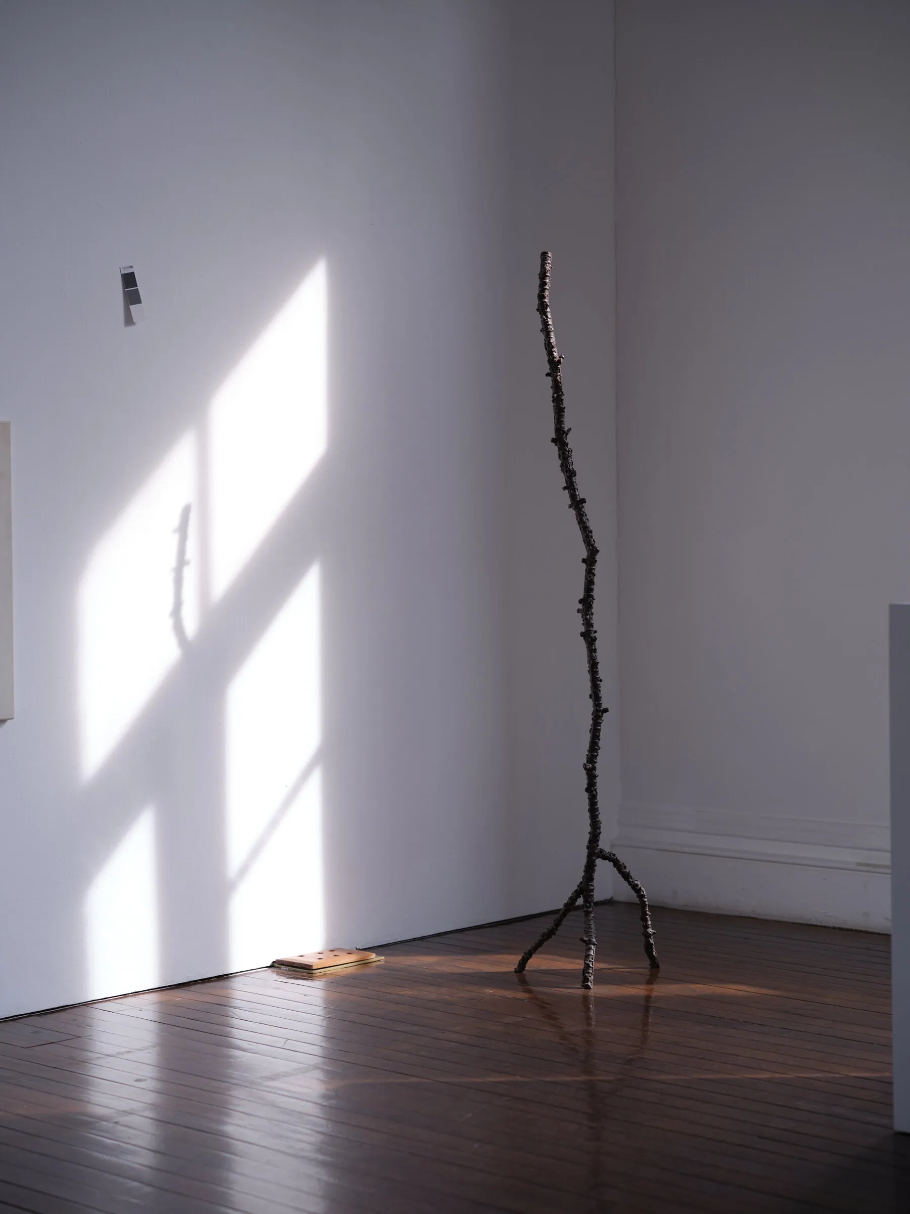 CHUNG Hyun — Nam-Seoul Museum of Art (SeMA) (6)